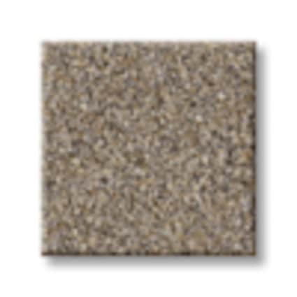 Shaw Munsey Park Beach Texture Carpet with Pet Perfect-Sample